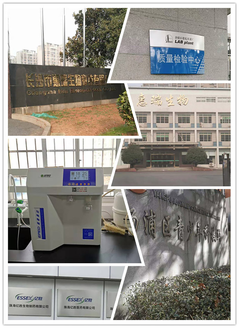 2025新澳门资料免费大全